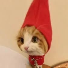 Andi Prasetyo avatar