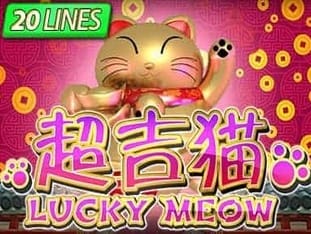 Lucky Meow