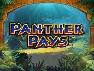 Panther Pays screenshot